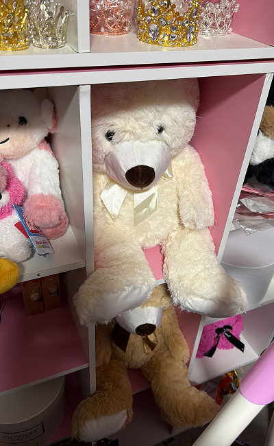 0A6C1A51-EB78-4067-BDCB-FC1EEA65CAEC 1