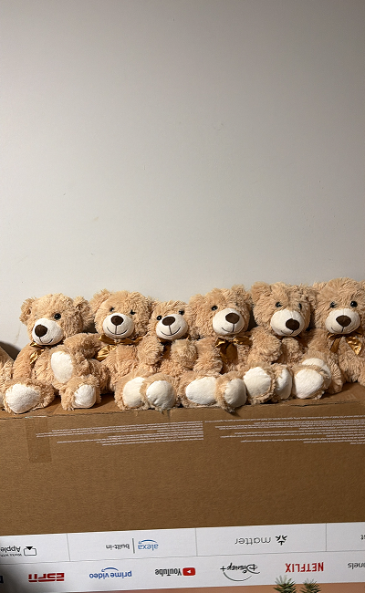 8952FA0F-5B0B-4DA2-9BB4-F39DFC0FF172 1